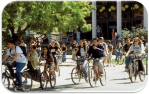 Busy sunny street with dozens of cyclists riding past trees and storefronts